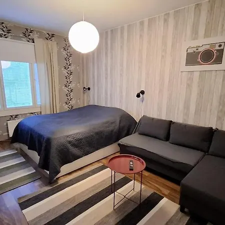 Viihtyisae Asunto 公寓 *