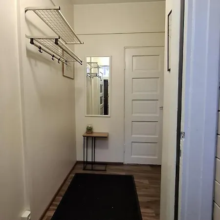 Viihtyisae Asunto דירה